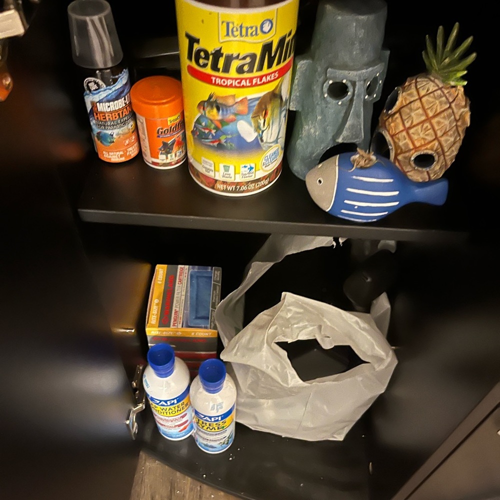 Blue and Gray Fish Aquarium Kit